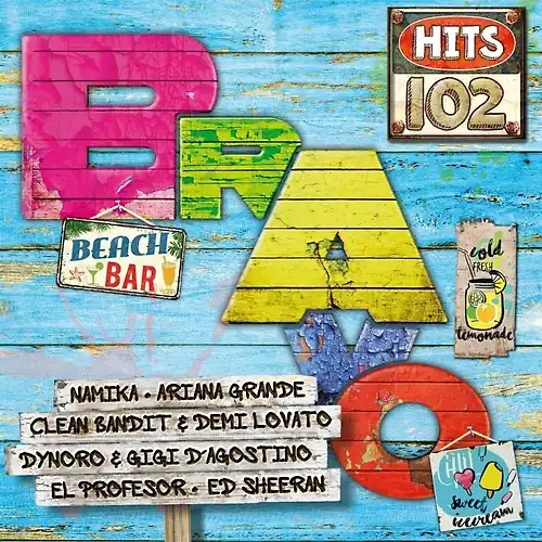 Various bravo hits vol 102 - various,